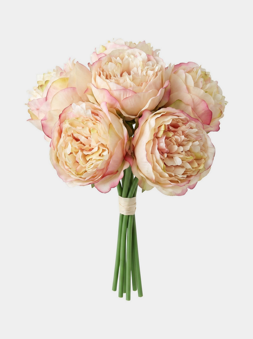 5 Stems Peony Bouquet - Champagne - Studio