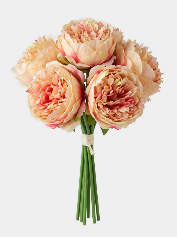 5 Stems Peony Bouquet - Dark Champagne - Studio