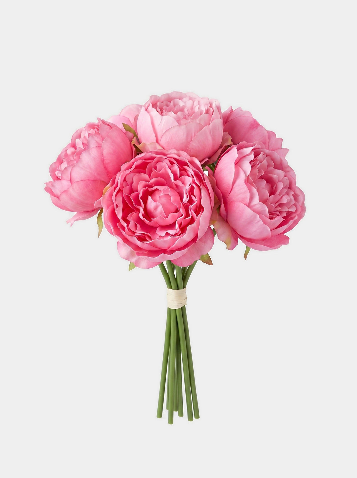 5 Stems Peony Bouquet - Dark Pink - Studio