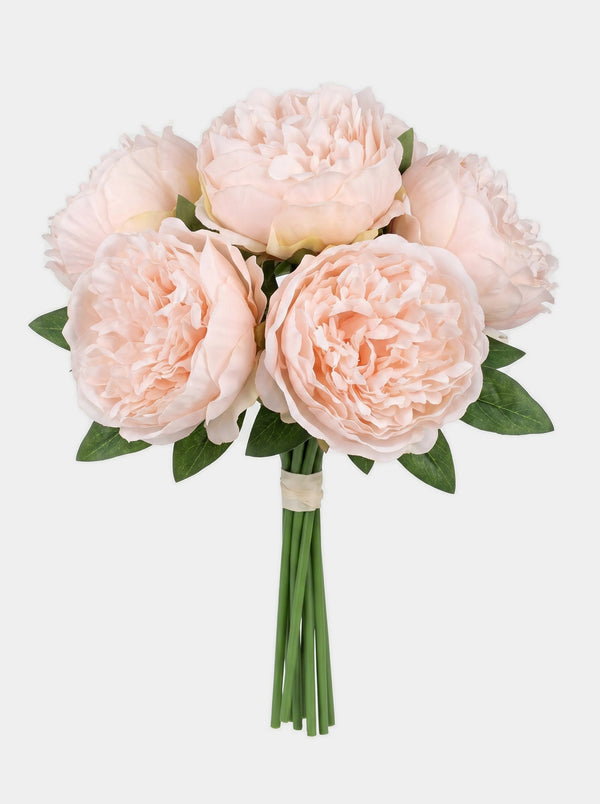 5 Stems Peony Bouquet - Light Pink - Studio