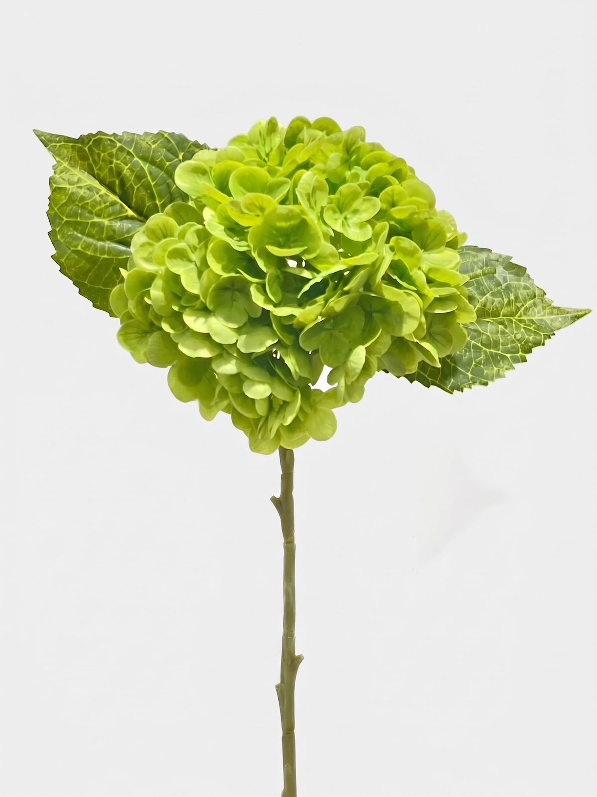 21-in Real Touch Hydrangea Stem - Dark Green 06 (Studio Gray)