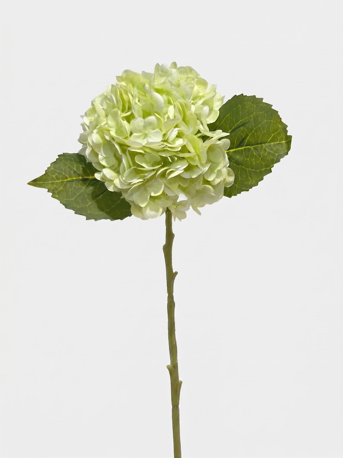 21-in Real Touch Hydrangea Stem - Light Green 09 (Studio Gray)