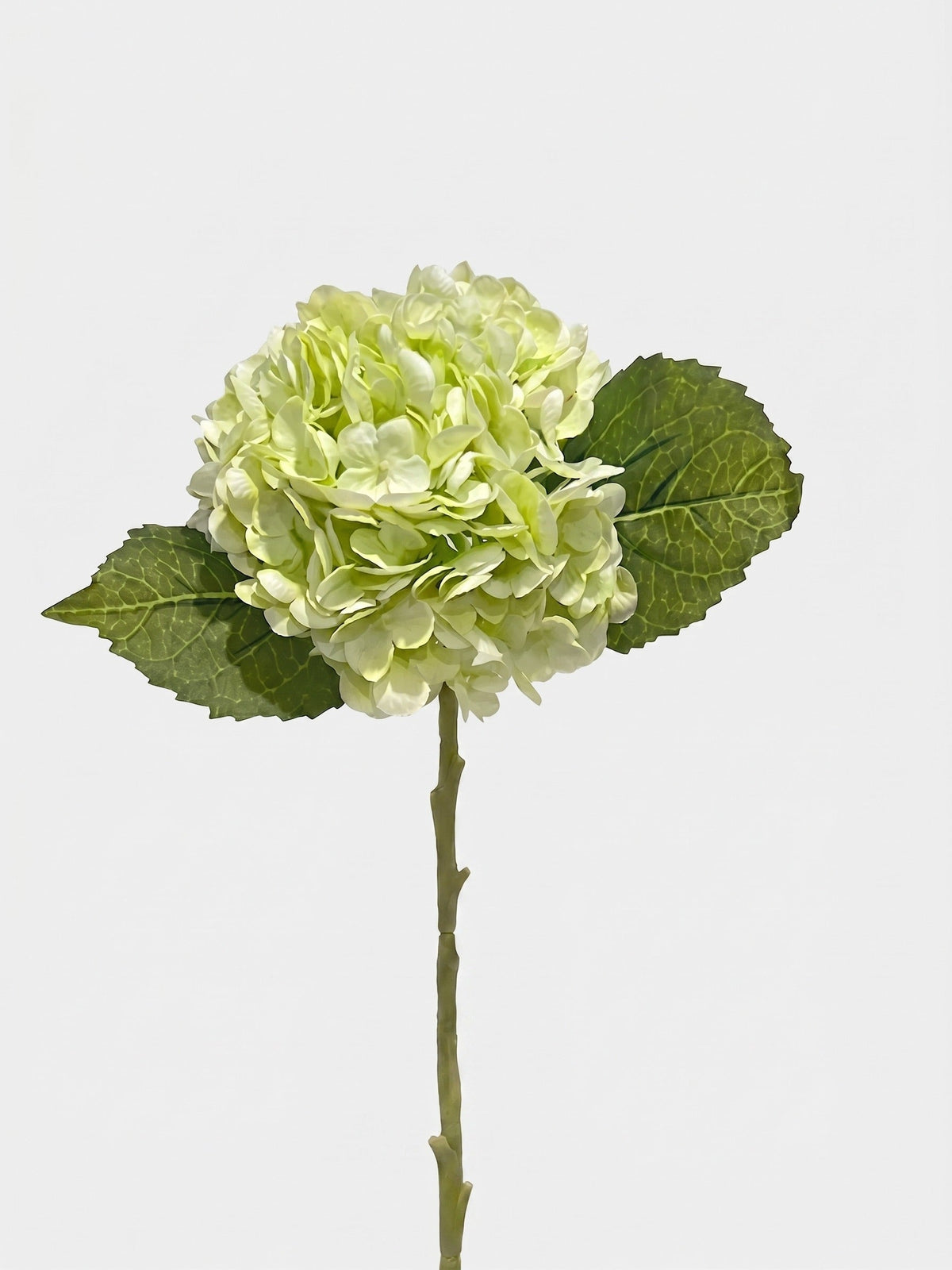 21-in Real Touch Hydrangea Stem - Light Green 10 (Studio Gray)