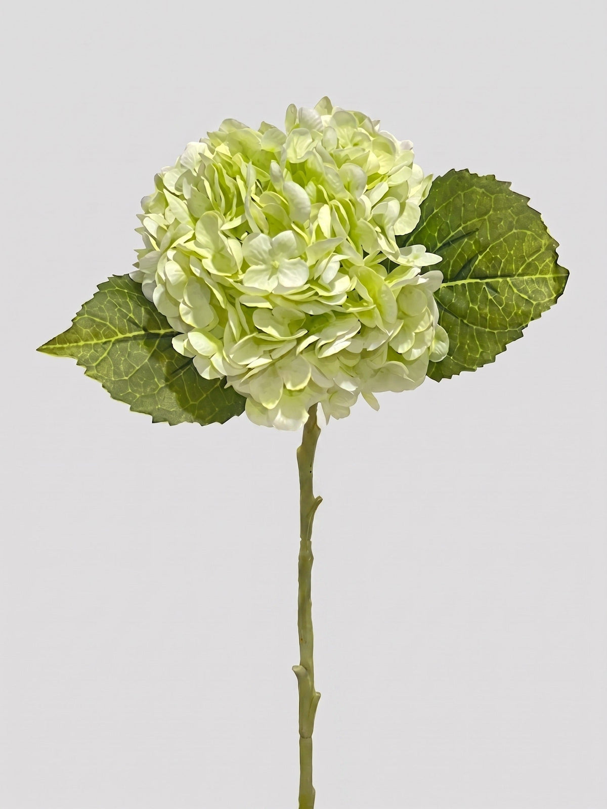 21-in Real Touch Hydrangea Stem - Light Green 11 (Studio Gray)