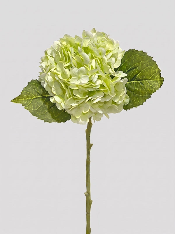 21-in Real Touch Hydrangea Stem - Light Green 11 (Studio Gray)