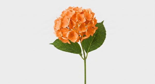 21-in Real Touch Hydrangea Stem - Orange 13 (Studio Gray)